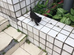 -百威KTV(恒福路店)