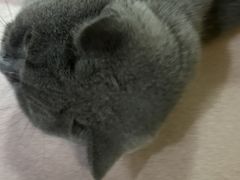-立德动物医院·24小时中心(番禺区院区)