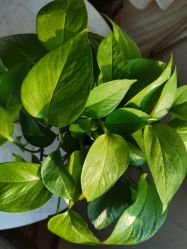 -尚艺造型.剪烫染.接发