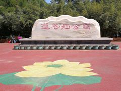 -莲花池公园