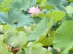 -贵阳蓬莱仙界