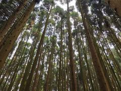 -山王坪喀斯特国家生态公园