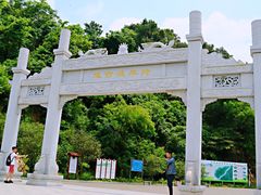 -羚羊峡古栈道森林公园