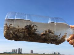 -东疆建设开发纪念公园