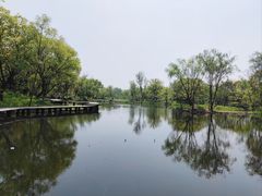 -西溪国家湿地公园