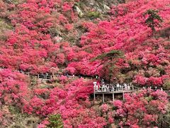 -木兰云雾山
