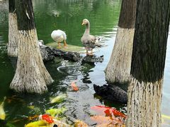 -东莞市可园博物馆