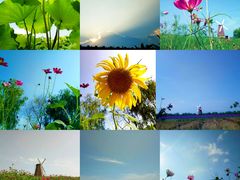 -漩门湾国家湿地公园