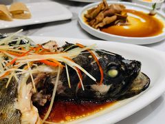 清蒸石斑鱼-澄记狮头鹅安粮店
