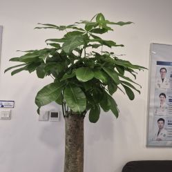 -丰联丽格医疗美容·联合丽格眼整形中心
