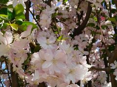 -大兴滨河森林公园