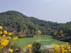 -广州白江湖森林公园