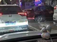 -醉美东江·三文鱼·烧鸡公