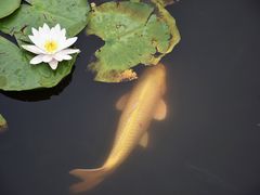-呼兰河口湿地公园