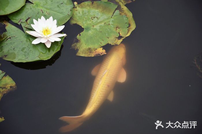 呼兰河口湿地公园图片