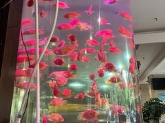 -上島咖啡(安亭店)