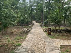 -阳台山自然风景区