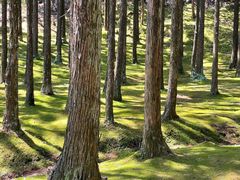 -玉苍山国家森林公园