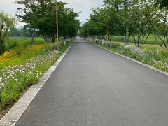 -长田漾湿地公园
