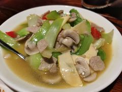 -四季春