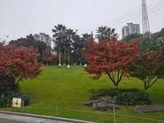 -龙头寺公园