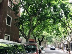 -RAC BAR(安福路店)