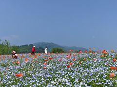 -径山花海