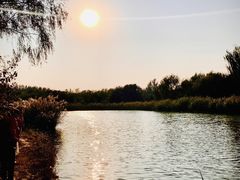 -大兴滨河森林公园