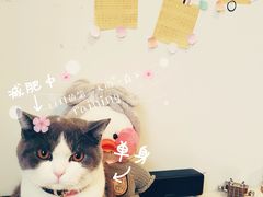 -元熹会席料理