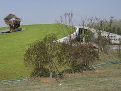 -合肥滨湖国家森林公园