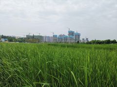 -西安浐灞国家湿地公园
