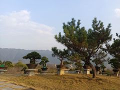 -炎帝陵景区