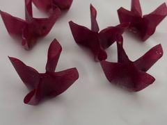 -无味舒食(环岛路店)