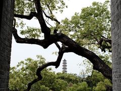 -江心屿景区
