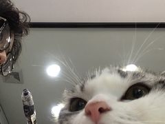 -瑞派动物医院·绝育·犬猫全科·预防医学(光景江南中店)