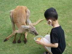 -泉州海丝野生动物世界