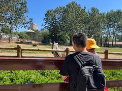 -大连森林动物园