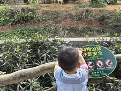 -海南热带野生动植物园