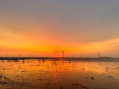 -启东黄金海滩景区