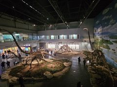 -自贡恐龙博物馆