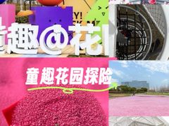 -春花秋色城市公园