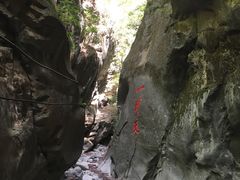 -黑河国家森林公园