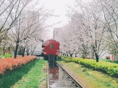 -新天地活力PARK