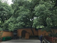 -普陀山风景名胜区-法雨禅寺