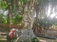 -瑞丽独树成林风景区