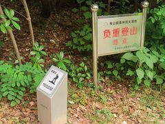 -雨花胜境