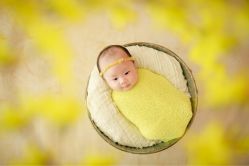 -BabyA 专业婴童摄影(古北时尚广场店)
