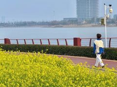 -九龙湖公园
