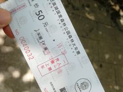 -合肥滨湖国家森林公园