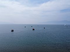 -月亮湾湿地公园